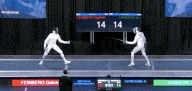 Fencing