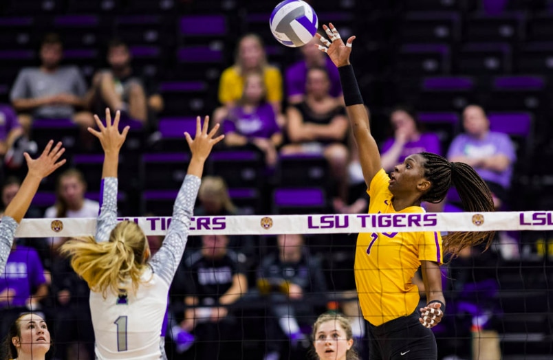 taylor bannister lsu